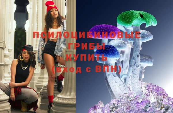 таблы Новозыбков