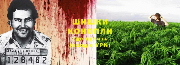 таблы Новозыбков