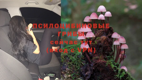 таблы Новозыбков